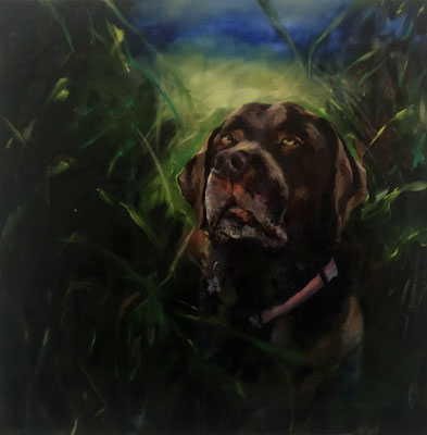 the moonshine dog (mia 3), oil on canvas, 80 x 80 cm, 2023, sold!