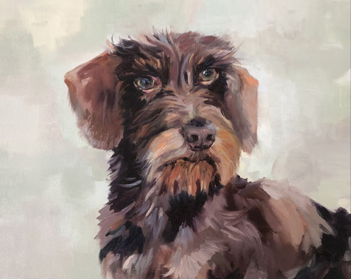 wilma (1), oil on canvas, 30 x 40 cm, framed, 2023, 550 €