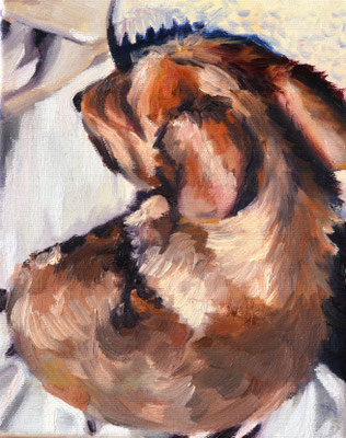 portrait of a dachshund (1), oil on canvas, 25 x 20 x 2 cm,2023, 550 €