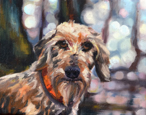 portrait of a dachshund (4), oil on canvas, 20 x 25 x 2 cm, 2024, 550 €