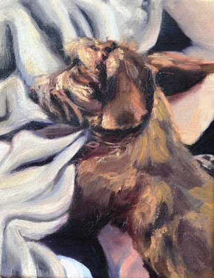 portrait of a dachshund (2), oil on canvas, 25 x 20 x 2 cm, 2023, 550 €