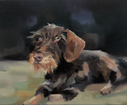 wilma (2), oil on canvas, 30 x 40 cm, framed, 2023, 550 €