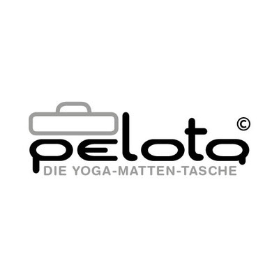 Pelota Logoentwurf, 2015