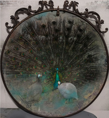 Paw i perliczki, tondo na panelu malarskim, 2023. 