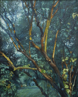 Bzy o zmierzchu, olej na płótnie 40x60 cm.