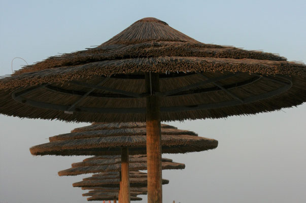 2007