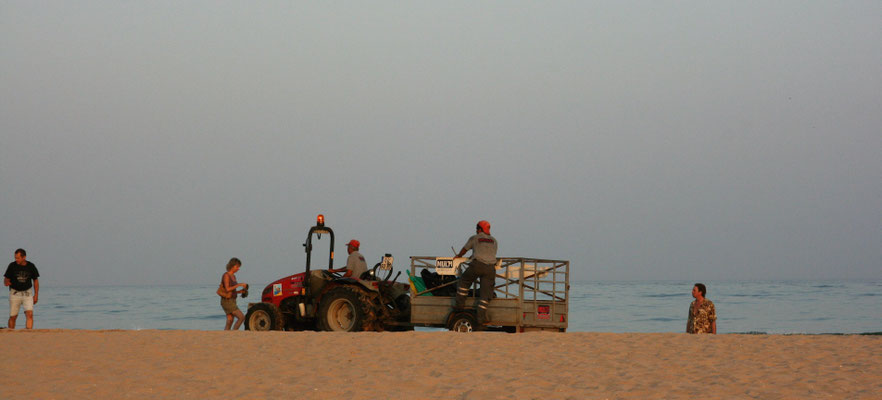 Salema 2007