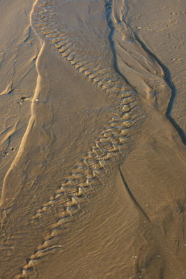 Meia praia  2007