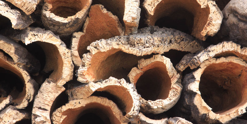 Monchique  Portugal's famous cork 2019