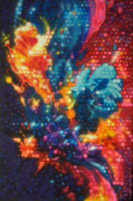IVO LUCAS  I  Flower out  I  Acryl auf Leinwand  I  120 x 80 cm