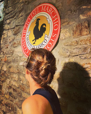 Chianti Wine region