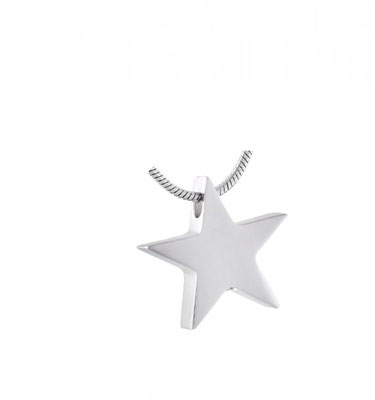Asche-Anhänger aus Edelstahl mit einem Schraubverschluss "Stern" 2.2cm x 2.2cm x 0.6cm / Fr. 90.-