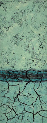 20x50 cm