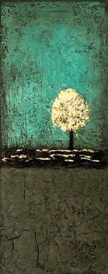 20x50 cm