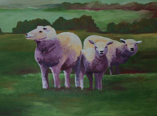 Schafes Neugier 50 x 70