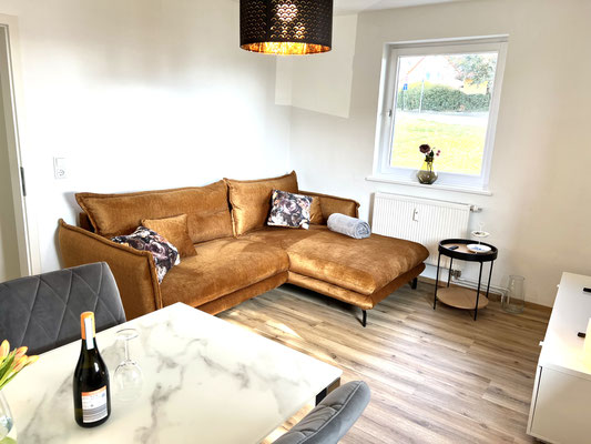 Wohnzimmer Couch