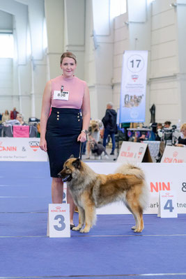 Champion Hündin