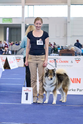 Champion Hündin