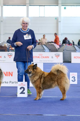 Champion Hündin