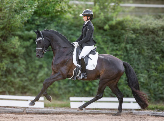 Schwester Lady Surprise/Ludovica v. Lord Europe