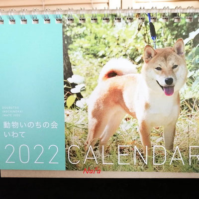 動物いのちの会いわて,盛岡保護犬,花巻保護猫ボランティア,奥州市保護犬,大船渡市保護猫