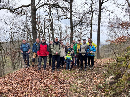 Wandergruppe steht auf einem Waldweg