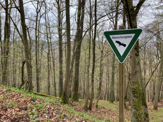 Schild Naturschutzgebiet steht in einem Frühlingswald