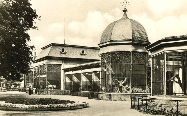 Das neue Raubtierhaus im Bauzustand von 1932.