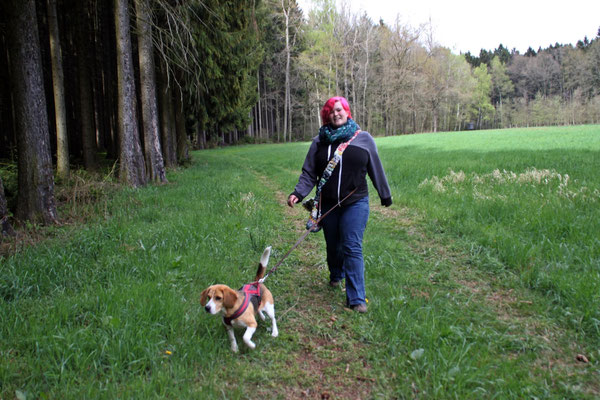 reichenbach schwarze katz silbitz beagle on tour