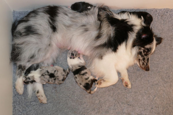 entspannte Familie