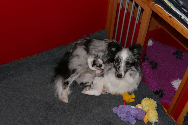 ah, bei Mami kuscheln ist toll !