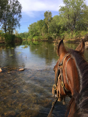 Morgenritt durch den Pentecost River