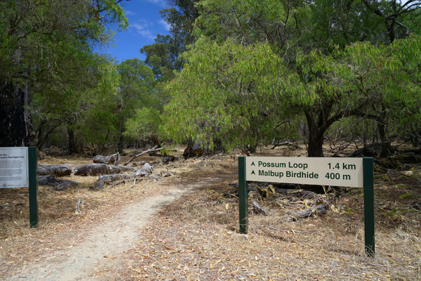Tuart Forest NP