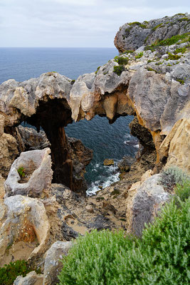 Natures Window