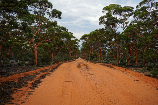 Victoria Rocks Road