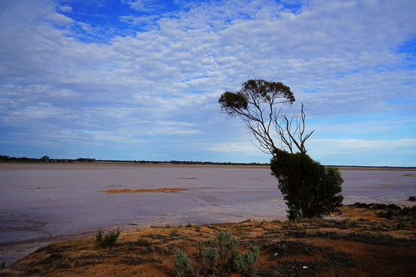 Lake Johnston