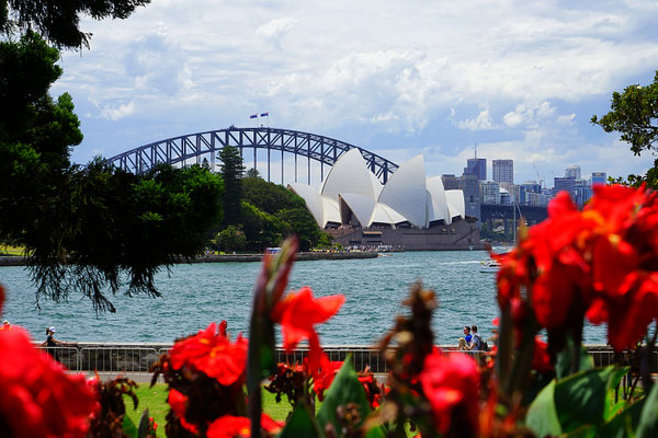 Blick auf die Oper & Harbour Bridge 