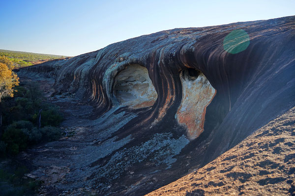 Cave & Wave 