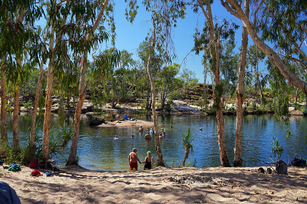 Start des Wanderwegs zu den Manning River Falls