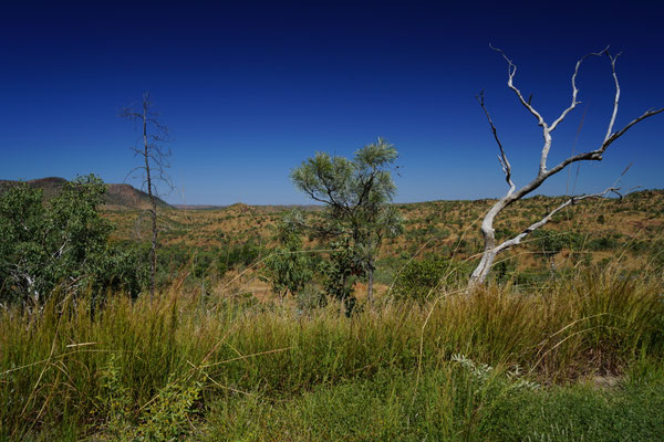Natur pur