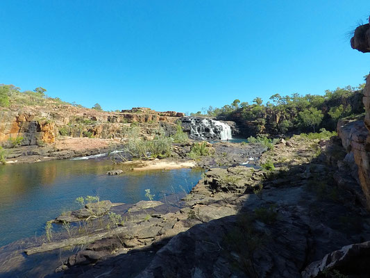 Blick am Ende des Walks auf die Manning River Falls