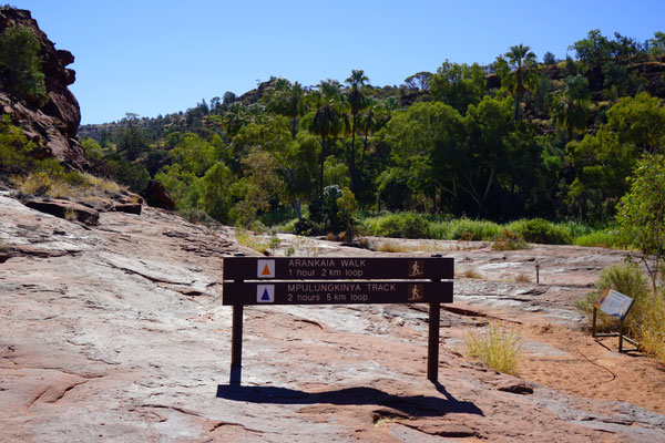 Palm Valley