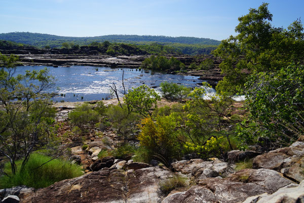 Mitchell River - hier wandern wir wirklich durch!