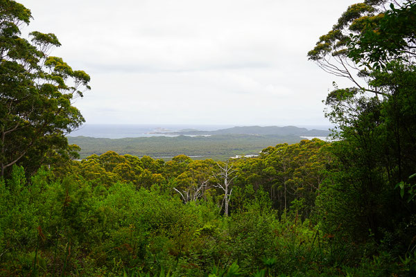 Hill Top Lookout