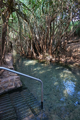 Katherine Hot Springs