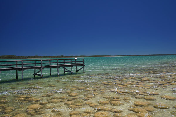 Lake Clifton