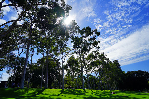 Kings Park