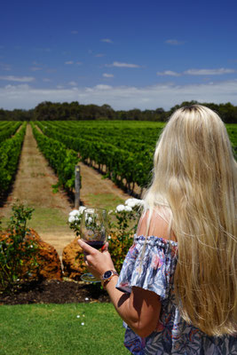 Wine tasting Margaret River