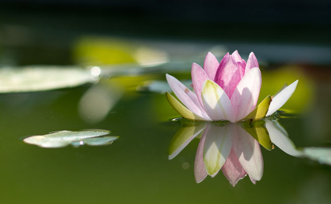 Spiegelung