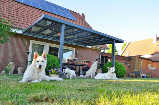 Terrassenüberdachung Photovoltaik